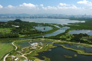 A view of the Wetland Park in Hong Kong.  We ride through this area on our tour and visit the Wetland Park at the end of the day. In Case our outings don't meet your time frame...