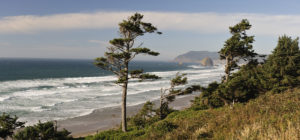 Most of the Oregon Coastline  can be viewed from a bike! In Case our outings don't meet your time frame...